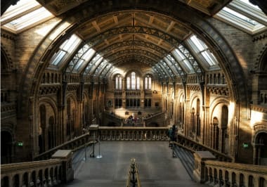 Architecture inside the castle